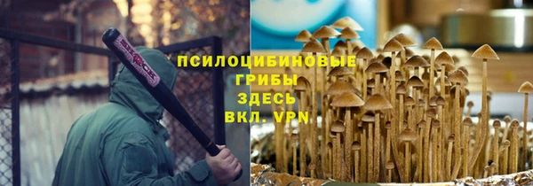 трава Арсеньев
