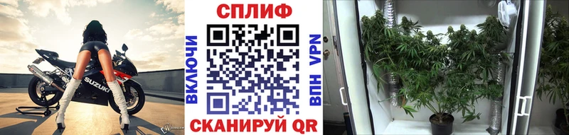 цена   Крым  гидра онион  Каннабис Bruce Banner 